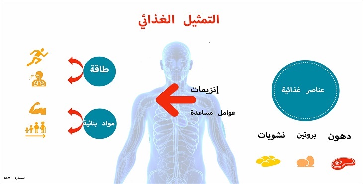 متلازمة التمثيل الغذائي